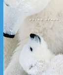 Polar Bears cover