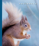 Squirrels cover