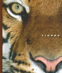 Tigers cover
