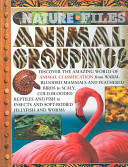 Animal Groupings cover