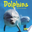 Dolphins cover