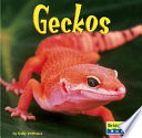 Geckos cover