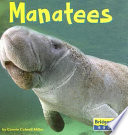 Manatees cover