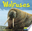 Walruses cover