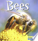 Bees cover