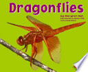 Dragonflies cover