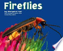 Fireflies cover