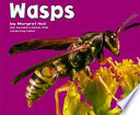 Wasps cover