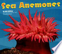 Sea Anemones cover