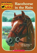 Racehorse in the Rain cover