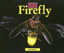Firefly cover