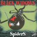 Black Widow Spiders cover
