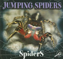 Jumping Spiders cover