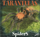 Tarantulas cover