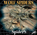 Wolf Spiders cover