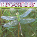 Dragonflies cover