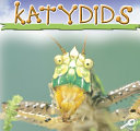 Katydids cover