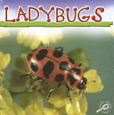 Ladybugs cover