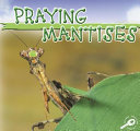 Praying Mantises cover