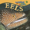Eels cover