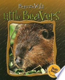 Little Beavers cover