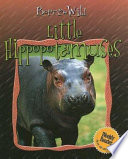 Little Hippopotamuses cover