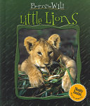 Little Lions cover