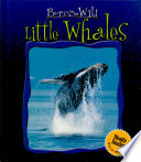 Little Whales cover