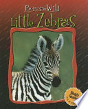 Little Zebras cover