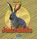 Jackrabbits cover