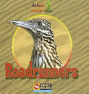 Roadrunners cover