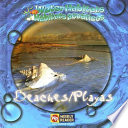 Beaches cover