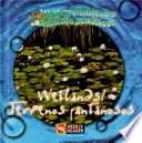 Wetlands cover