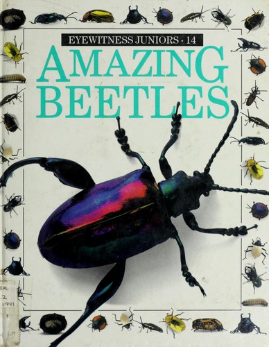 Amazing Beetles cover