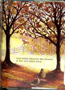 Rainflowers cover