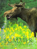 Summer cover